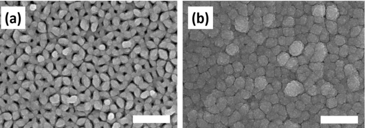 Fig. 8. FE-SEM top view images of Ni BELs deposited on the upper side of an AAO substrate with ~65 nm-sized pores: (a) 100 s dura- dura-tion, (b) 400 s duration