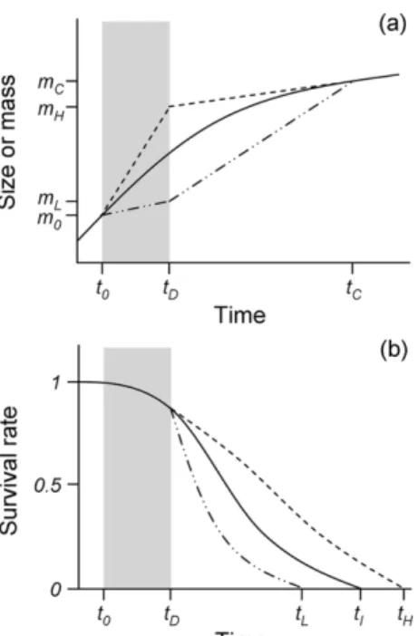 Fig. A1a 은 온도 처리에 따른 보상성장(이중점선)와 역 보상성장(점선), 그리고 온도가 일정하게 유지되었을 때의 안정된 성장 곡선(실선)을 보여준다