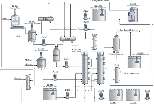 Fig. 1. Process schematic for Pilot plant of bio-hydrogen production from syngas  