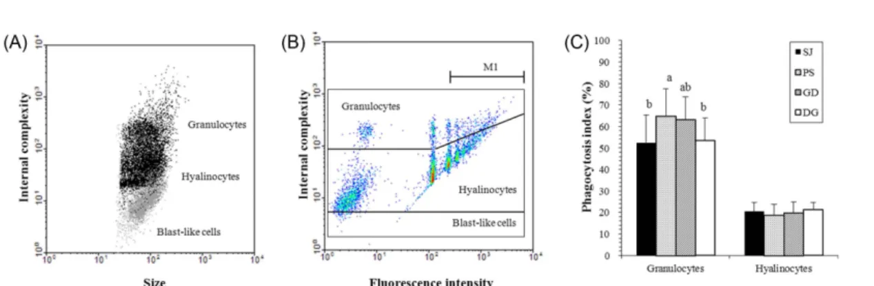 Fig. 5. Neutral red retention time of the wild Crassostrea gigas. Different letters (a,b) in the mean values columns represent significant differences among sampling sites (ANOVA, P<0.05)
