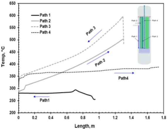 Fig. 7. Temperature variations along four paths