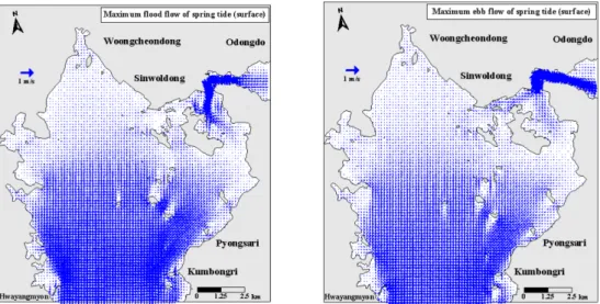 Fig. 2. Tidal flow vector diagrams for the strongest flood and ebb flows at the surface layers in Gamak Bay 