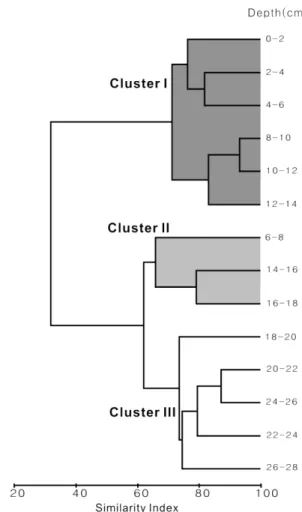 Fig. 9. Synthesize comparison analysis between PON, C/N, C/S and benthic foraminifera assemblage
