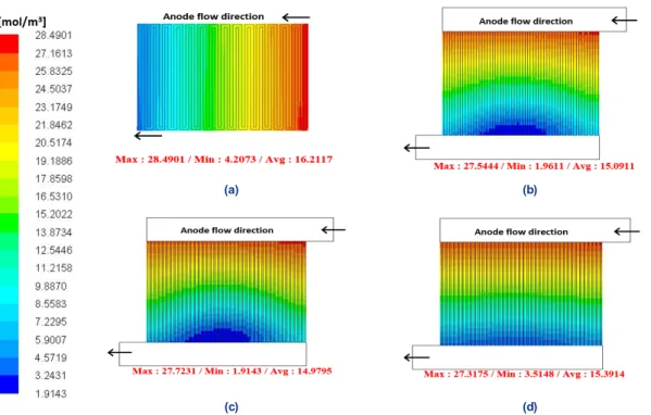 Fig. 10. Hydrogen concentration distributions in the anode catalyst layer, (a) serpentine, (b) case 1 (Ch=1:Rib=1), (c) case 2  (Ch=1:Rib=0.45), (d) case 3 (Ch=0.45:Rib=1)