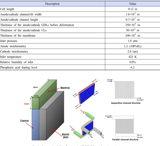 Fig. 1. Schematic of 25 cm 2  real scale HT-PEMFC and flow channel structure
