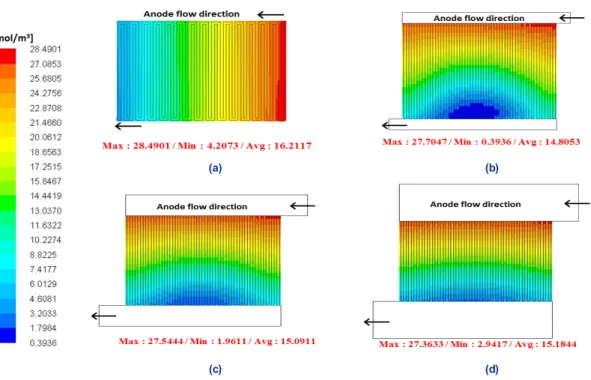 Fig. 5. Hydrogen concentration distributions in the anode catalyst layer, (a) serpentine, (b) parallel (h=5 mm), (c) parallel (h=10 mm),  (d) parallel (h=20 mm)