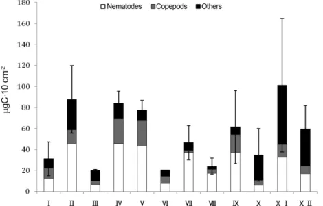 Fig. 6. Variation in mean biomass of meiofauna during the study periods. The vertical bars indicate one standard deviation 