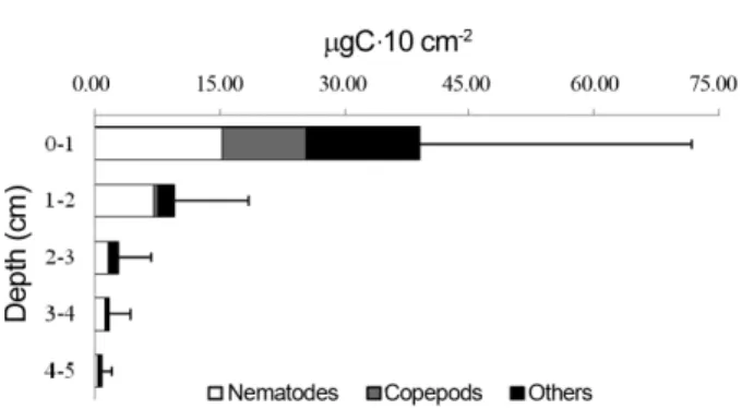 Table 2. The numerical abundances of benthic harpacticoid copepods during the study periods
