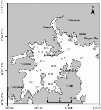 Fig. 1. Study area and sampling stations in Jinhae Bay