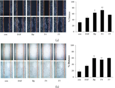 Fig.  9.  Effects  of  a  fermented  soybean  extract  and  fractions  (F4  and  F5)  on  migration  of  HaCaT  cells  and  fibroblast  cells.