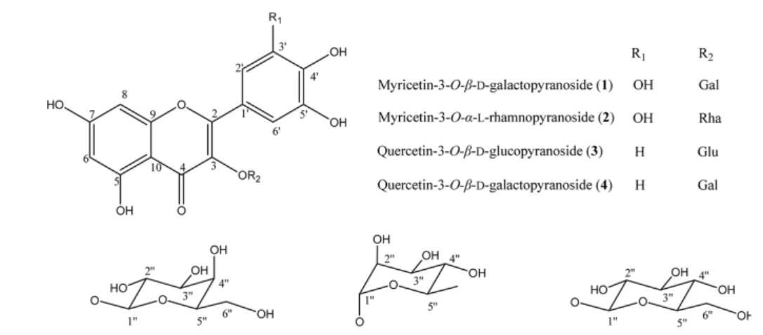 Fig. 5. DPPH radical scavenging effect of isolated com- com-pounds 1-4 from L.  tetragonum