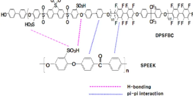Fig. 1. Structure of possible interaction exerted between the  DDPSFBC and SPEEK