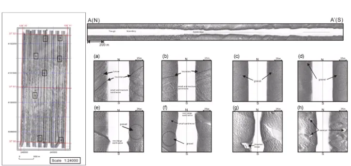 Fig. 6. Correlations between length and height (a), height and water depth of dunes (b) and length and water depth (c) of total dunes which are developed on the sand ridge