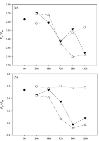 Fig. 2. Carbon fixation rates of two phytoplankton species, (a)  Phaeocystis pouchetii and (b) Porosira glacialis, during culture incubation under ultraviolet radiation (UVR: closed cycle) and photosynthetically active radiation exposure conditions (PAR: o