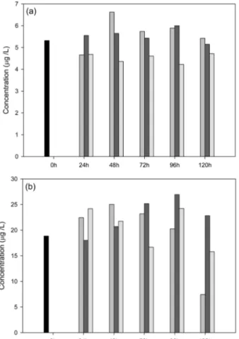 Table 2. Turnover rate (/day) of total carbon and mycosporine-like amino acids (shinorine and porphyra-334) and Chl.a  specific carbon fixation rate ( µgC/µgChl.a/d) of P