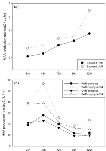 Fig. 6. MAA production rates of two phytoplankton species, (a) Phaeocystis pouchetii and (b) Porosira glacialis 