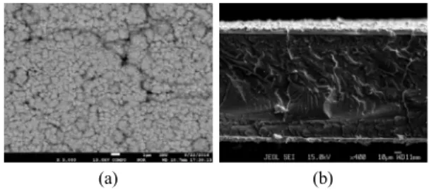 Fig. 2. EPMA image of cation existed in fresh made Pt-MEA  (a) Pt counts mapping, (b) Fe 2+  counts mapping, (C) Ca 2+