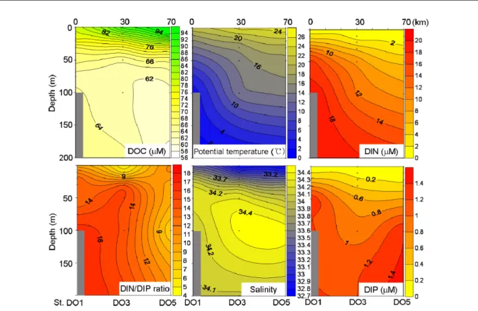 Fig. 4. Horizontal and vertical distributions of DOC, potential temperature, salinity, N/P ratio, DIN, and DIP in the DO transect of the East Sea