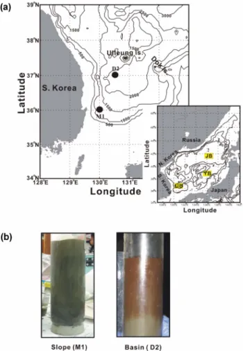 Fig. 1. (a) Map showing sampling sites in the Ulleung Basin (UB), and (b) colors of the surface sediment.