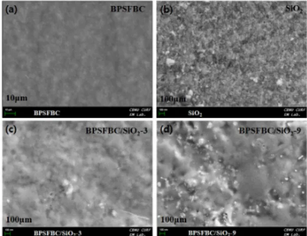 Fig. 3. FE-SEM surface images of membranes of (a) BPSFBC,  (b) SiO 2 , (c) BPSFBC/SiO 2 -3, (d) BPSFBC/SiO 2 -9 