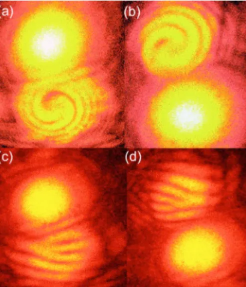 FIG. 1. 共Color online兲 共a兲 and 共c兲 关共b兲 and 共d兲兴 show the +1 共−1兲 diffraction order for the right- 共left-兲circularly polarized planar wavefront.
