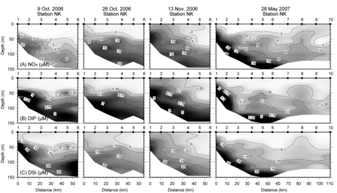 Fig. 5. Distributions of chlorophyll  a average inventory (0-40 m) along the NK transect in the Korea Strait