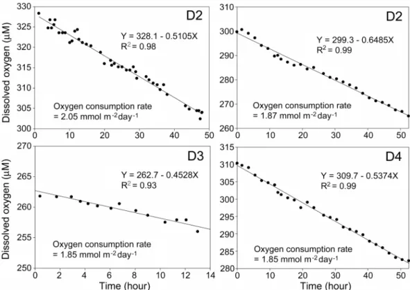 Table 2. Input flux of organic carbon, regenerated flux of organic carbon, and burial flux of organic carbon in Ulleung Basin sediments