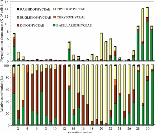 Fig. 6. Horizontal distribution changes of phytoplankton abundance (upper), and relative contribution (lower) in the southern sea from June 18 to June 20 2009.