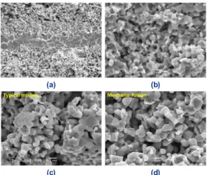 Fig. 5. After measuring the long-term durability of anode mi- mi-crostructure (a) Ni/YSZ and (b) Ni/YSZ core-shell (750 o C at  H 2  atmosphere)