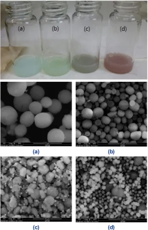 Fig. 1. Macroscopic view and FE-SEM image of according to  the reaction process from (a) to (d): (a) t=0 min