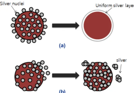 Fig. 6. Formation process of the Ag coating layer: (a) a com- com-plete coating layer (b) an incomcom-plete coating layer 