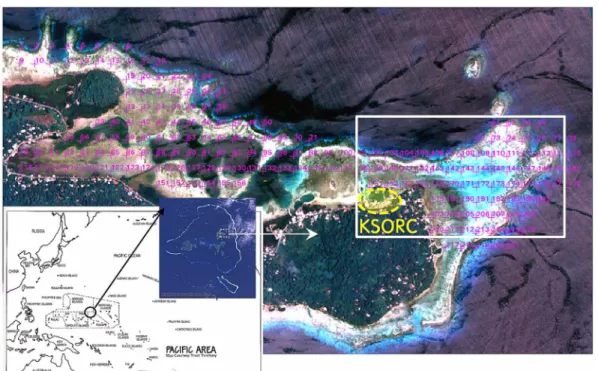 Fig. 1. Location of the study area (white box) overlaid with sampling stations in 2008 (Kompsat-2 MSC, RGB- RGB-321 composite image on Sep
