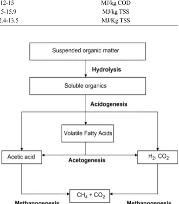 Fig. 2. Subsequent steps in the anaerobic digestion process [30].