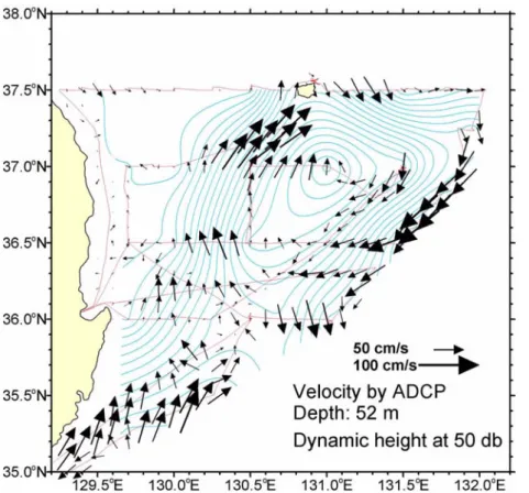 Fig. 9 shows the surface current velocity vectors at 52 m depth observed by the ship-mounted ADCP with dynamic height at 50 db