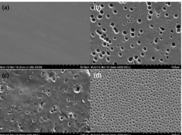 Fig. 5 SEM image of CL-SPEEK/Cellulose X wt % composite  membranes (a) 0, (B) 10, (c) 20, (d) 30  