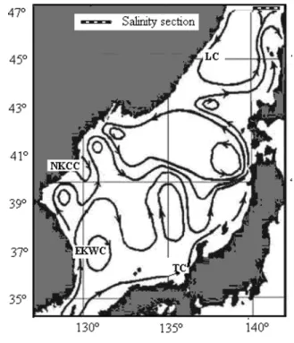 Fig. 1. Surface current system in the JES from Danchenkov et al. 2003 and Danchenkov et al.