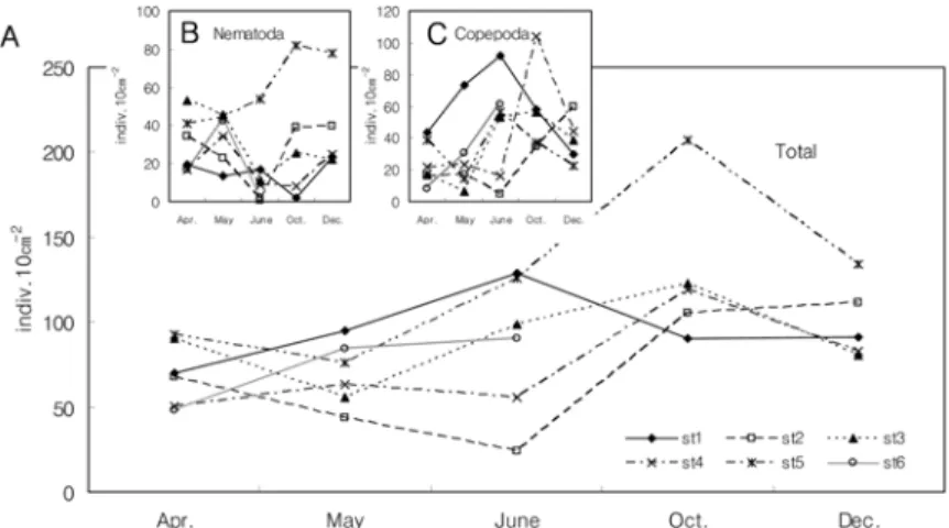 Fig.  3.  Variations  in  the  density  of  meiofauna  and  two  major  taxa  during  the  study  period.