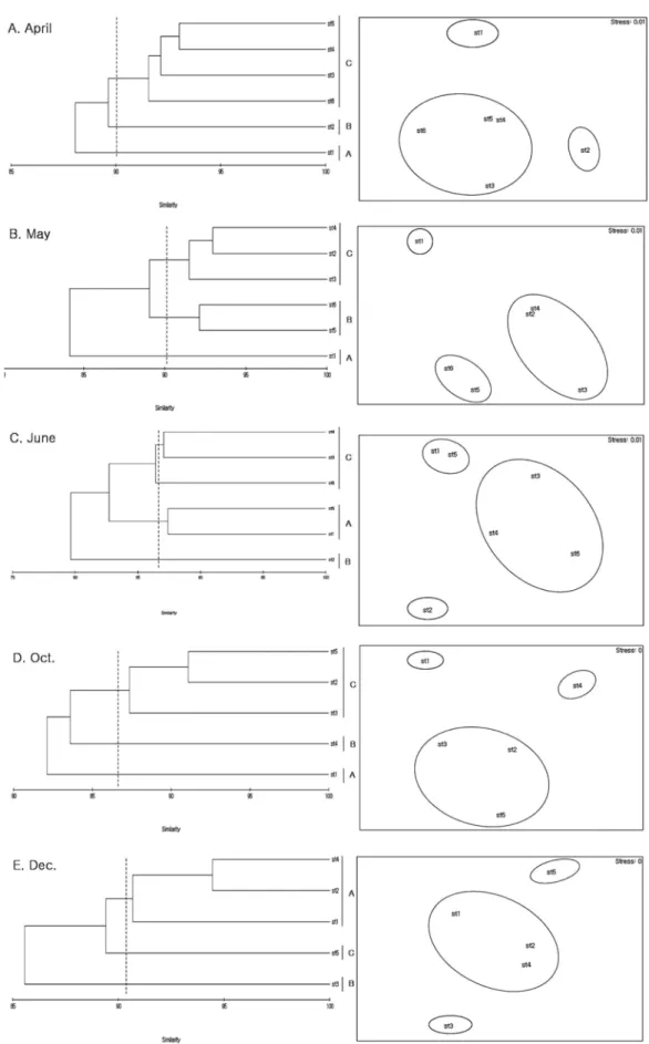 Fig. 7. Dendrogram  of  Bary-curtis  similarity  and  non-metric  multidimensional  scaling  (NMDS)  ordination  of  the  sam- sam-pling  sites  based  on  the  density  of  meiofauna  at  each  month