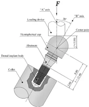 Figure 2. Schematic diagram of the loading test device according to ISO 14801:2013. 