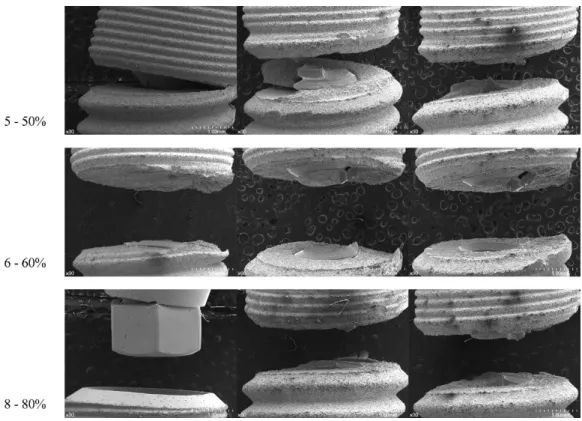 Figure 6. Frontal view of TX samples (×30). Fixtures are aligned to represent a load subjected from left  to right
