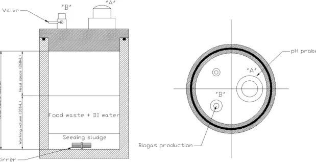 Fig. 1 Schematic diagram of anaerobic hydrogen batch reactor