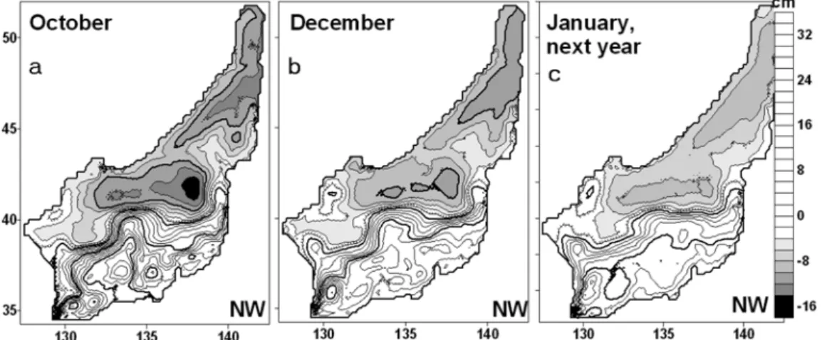 Fig. 9. Sea surface height (cm) simulated under forcing of the NW wind pattern for (a) October, (b) December, and (c) January (next year)