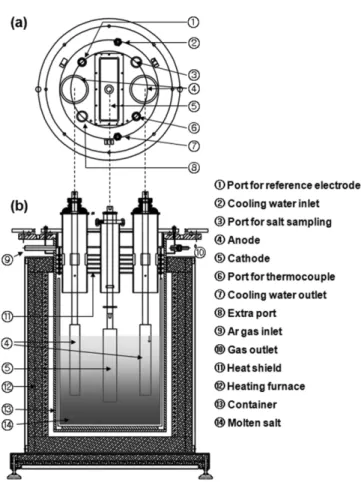 Fig. 8. Photographs of (a) the cathode basket containing porous UO 2 pellets before the electrochemical reduction, (b) a porous UO 2 pellet before the electrochemical reduction, (c) porous UO 2   pel-lets after the supply of 134% of the theoretical electri
