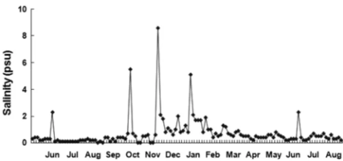 Fig. 4. The  variation  of  phytoplankton  abundances  (cells ml −1 )  at  ST.  MKB.
