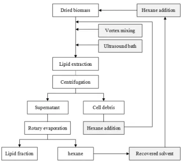 Fig. 2 Process flow diagram of microalgal lipid extraction