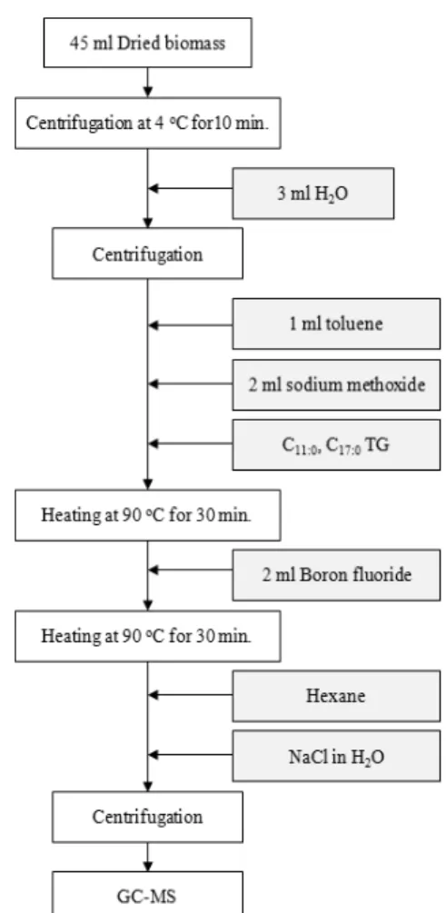 Fig. 3 Schematic diagram of the proposed organic solvent  extraction mechanisms( ○ : non-polar organic solvent, ◊: polar  organic solvent) 12)