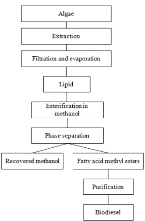 Fig. 5 Biodiesel production process from microalgae 2)