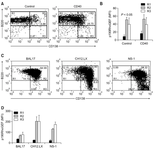 Figure 2.  Expression of p190RhoGEF, CD138, and B220 in B cells at various maturational stages