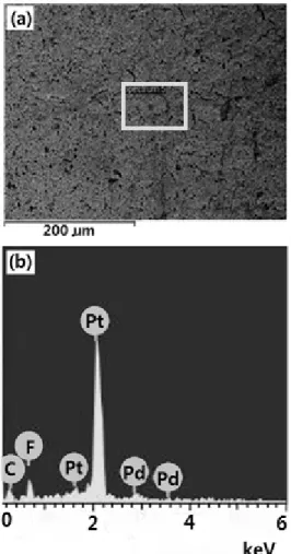 Fig. 2 (a) SEM image and (b) EDS spectrum for Pd loaded  Pt/GDE prepared by exposure to Pd(acac) 2  for 5 min