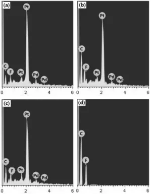 Fig. 3 Cross-sectional images of (A) GDE and (B) MPL/ 